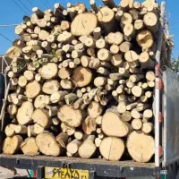 خریذ. وفروش. چوب. ودرختان.مجازوبیشه