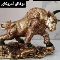 بوفالو امریکایی برنز برنزی