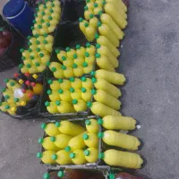 آبلیمو تازه