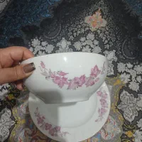 فقط برنج خوری