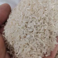 برنج سرلاشه فجر معطر بشرط پخت
