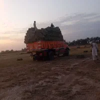 یونجه