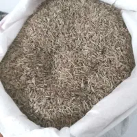 کرایه تمیز فروشی