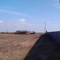 زمینی واقع در بلوار دانش به متراژ ۳ هزار متر