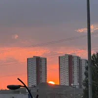 هم خونه