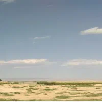 فروش-زمین-کشاورزی