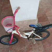 دوچرخه