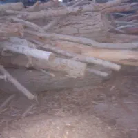 فروش چوب مصالحی دارخشکی چنار کبوده وسک