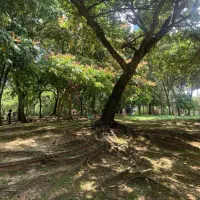 دشت مشا دماوند