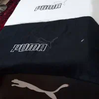 تخت طرح پوما