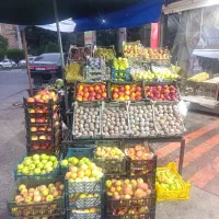 نیروی کار برای میوه تره بار