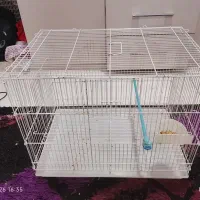 قفس عروس هلندی بزرگ