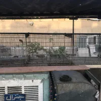 قفس جوجه کشی.کبوتر قناری عروس هلندی مرغ عشق