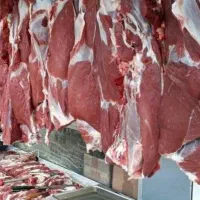 گوشت وقصابی کاور وشک وتوشتیر پروار