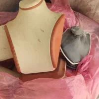 قاب گردنی،مکعب پشت ویترین