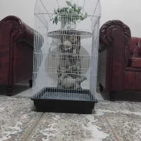 قفس بزرگ 3عدد