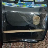 کیف طوطی