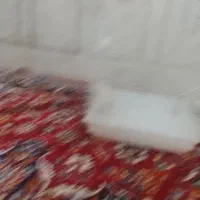 قفس بزرگ در حد نو