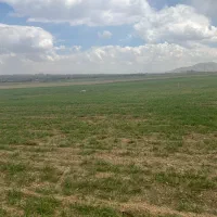 فروش زمین کشاورزی
