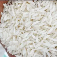 برنج هاشمی درجه یک