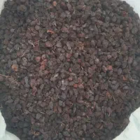 کش مبیز