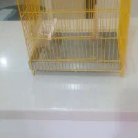 قفس سهره