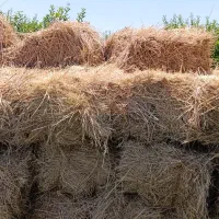 یونجه بسته بندی شده