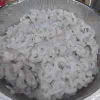 فروش میگو و ماهی
