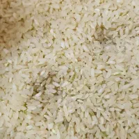 برنج کامفیروز درجه یک