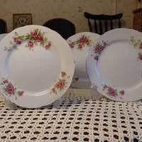 ظروف گلسرخی