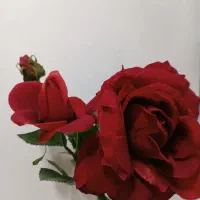 گل رز|گل مصنوعی|ملایر, |دیوار