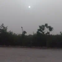 تورگردشگری