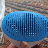 برس حیوانات