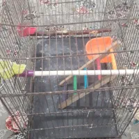 قفس بزرگ|لوازم جانبی حیوانات|اهواز, ۳۰ متری|دیوار