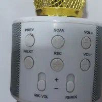 میکروفن بازی