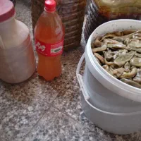 خوردن و اشامیدن