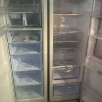 دوقلو دیپونت سفید