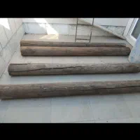 تنه درخت کاج