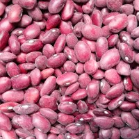 لوبیا قرمز