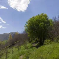 سفر کارت اسنپ