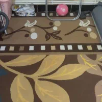 پالازموکت ۶متری