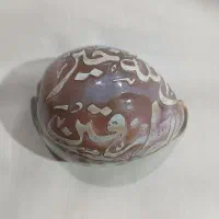 صدف دریایی  کلکسیکنی  زینتی