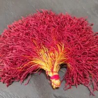 زعفران دختر پیچ ( دسته )