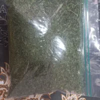 نعناع خشک ارگانیک