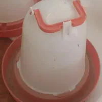 جا آب و جا دان نو