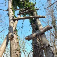 عکاسی حرفه ای با ادیت ، رایگان