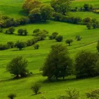 زمین‌های رویایی با سند قطعی