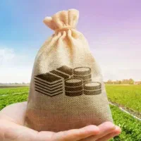 زمین فلکه زیدون،تجاری ، مسکونی،پلاک ۵۰۸۹