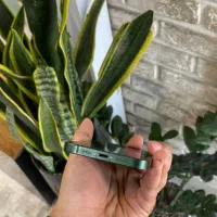 iphone 13 normal 256G|موبایل|مشهد, فدک|دیوار