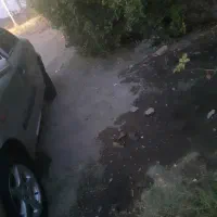 معاوضه با پراید
